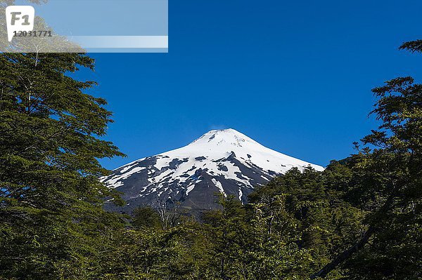 Schneebedeckter Vulkan Villarrica  Pucon  Südchile  Chile  Südamerika