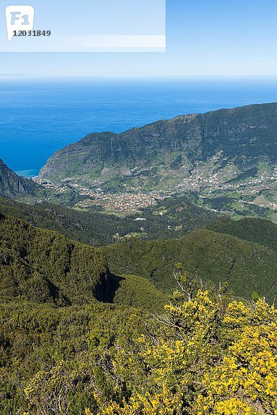 Blick auf den Atlantischen Ozean vom Berg Bica de Cana  Hochebene Paul da Serra  Insel Madeira  Portugal  Europa