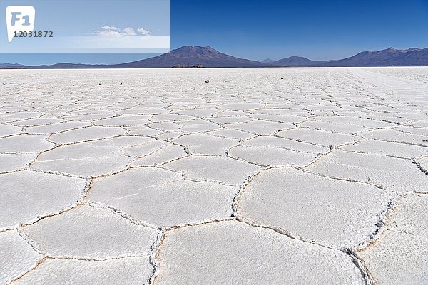 Struktur der Salzkruste  Salar de Uyuni  Altiplano  3670 m über dem Meeresspiegel  Bolivien  Südamerika