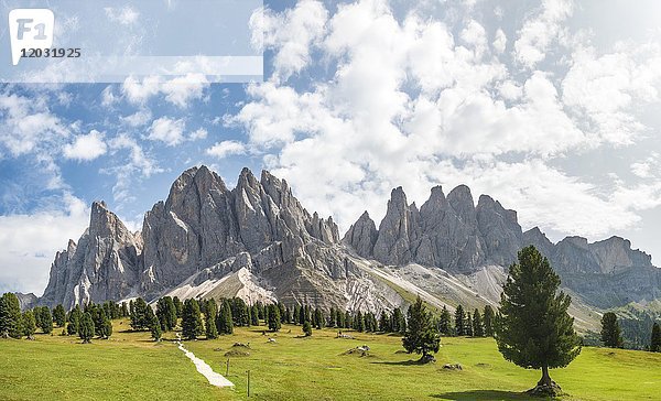 Wanderweg bei der Gschnagenhardt Alm  hinter den Geislerspitzen  Villnösstal  Sass Rigais  Dolomiten  Südtirol  Italien  Europa