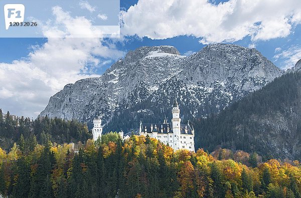 Schloss Neuschwanstein im Herbst  Schwangau  Ostallgäu  Allgäu  Schwaben  Oberbayern  Bayern  Deutschland  Europa