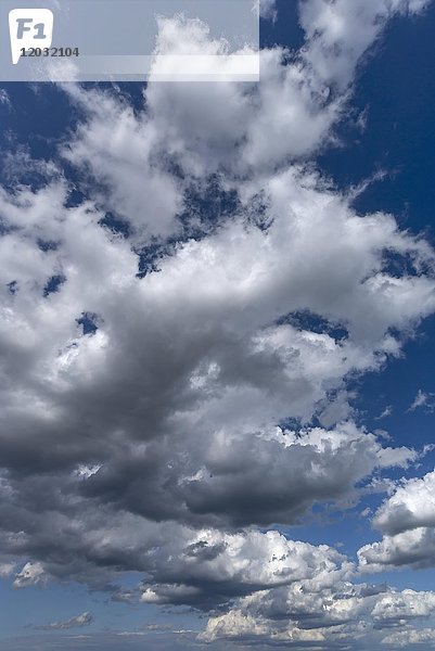 Regenwolken (Nimbostratus)  Niedersachsen  Deutschland  Europa