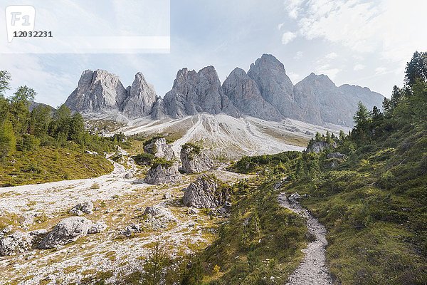 Wanderweg zur Geisleralm im Villnösstal unterhalb der Geislerspitzen  hinter der Geislergruppe  Sass Rigais  Dolomiten  Südtirol  Italien  Europa