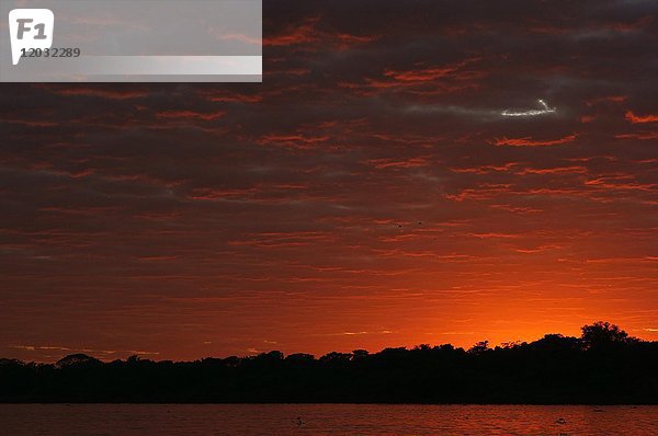 Sonnenaufgang über dem Fluss  Pantanal  Mato Grosso  Brasilien  Südamerika