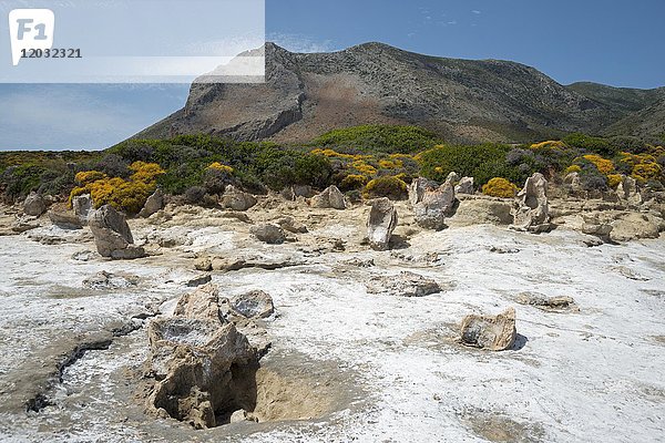 Versteinerter Wald von Cavomalias  Kap Malea  Lakonien  Peloponnes  Griechenland  Europa