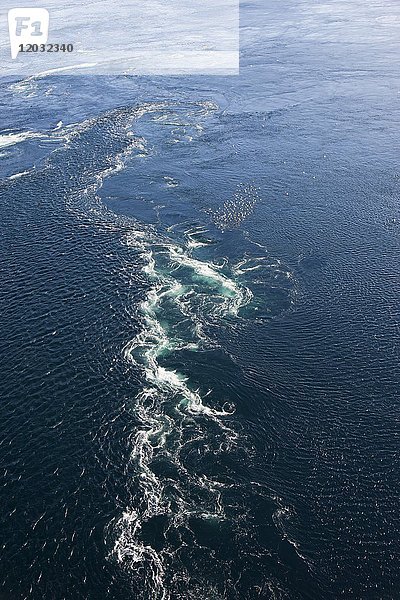Massive Strudel im Wasser  Salztrauma  stärkste Gezeitenströmung der Welt  bei Bodo  Provinz Nordland  Norwegen  Europa