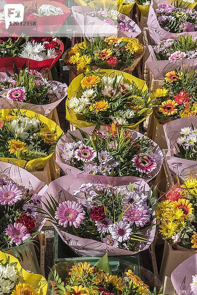 Bunte  frische Blumensträuße mit Gerbera  Markt  Nordrhein-Westfalen  Deutschland  Europa