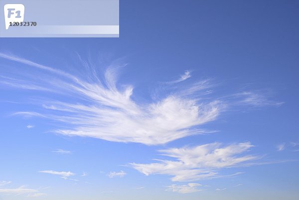 Zirruswolken  blauer Himmel  Nordrhein-Westfalen  Deutschland  Europa