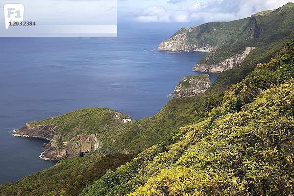 Blick vom Miradouro sobre Ponta Delgada das Flores auf die Nordostküste  Insel Flores  Azoren  Portugal  Europa