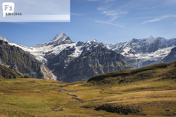 Bach  Blick auf Großes Fiescherhorn  Eiger  Mönch  Jungfrau  Grindelwald  Bern  Schweiz  Europa