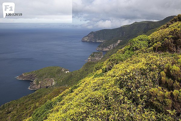 Blick vom Miradouro sobre Ponta Delgada das Flores auf die Nordostküste  Insel Flores  Azoren  Portugal  Europa