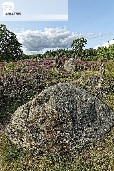 Megalithische Anlagen der Trichterbecherkultur  Oldendorfer Totoenstadt Oldendorf an der Luhe  Lüneburger Heide  Niedersachsen  Deutschland  Europa