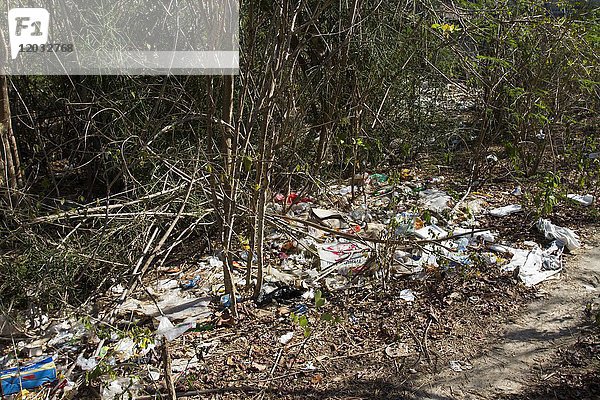 Vom Meer angeschwemmter Müll in Büschen  Umweltverschmutzung  Nusa Lembongan  Kleine Sunda-Inseln  Indonesien  Asien