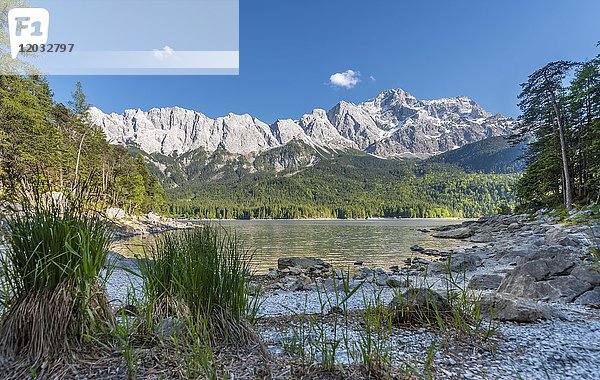 Eibsee und Zugspitze  Wettersteingebirge  bei Grainau  Oberbayern  Bayern  Deutschland  Europa