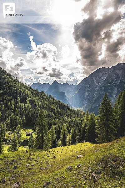 Blick auf den Watzmann  Nationalpark Berchtesgaden  Berchtesgadener Land  Oberbayern  Bayern  Deutschland  Europa