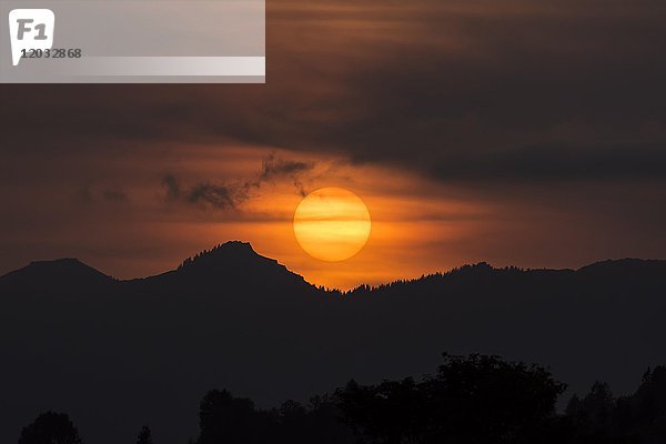 Sonnenuntergang über den Allgäuer Bergen  Silhouette  Bad Hindelang  Allgäu  Bayern  Deutschland  Europa