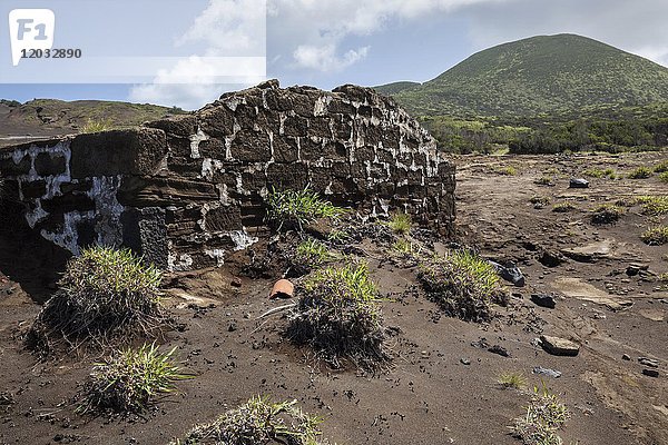 Überreste von Häusern  die sich aus der Asche der Lava erheben  Capelo  Insel Faial  Azoren  Portugal  Europa