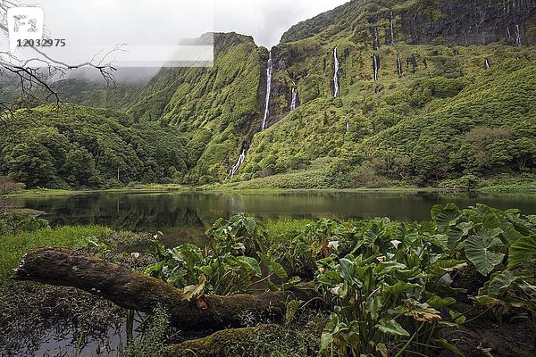 Lagoa dos Patos und Wasserfälle Poco da Alagoinha  bei Faja Grande  Insel Flores  Azoren  Portugal  Europa