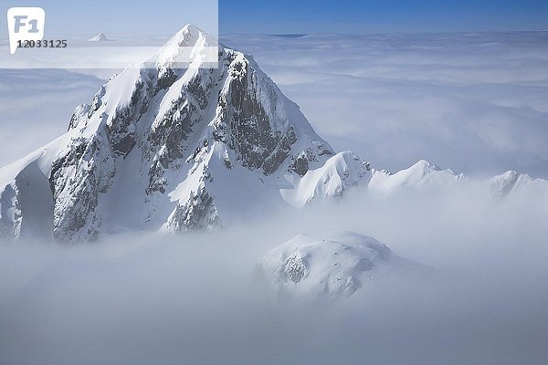 Verschneiter Gipfel  Lütispitz über der Wolkendecke  Winterlandschaft  Lütispitze  Kanton St. Gallen  Schweiz  Europa