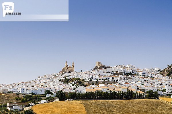 Weißes Dorf mit Kirche La Encarnación und maurischer Burg  Olvera  Provinz Cádiz  Andalusien  Spanien  Europa