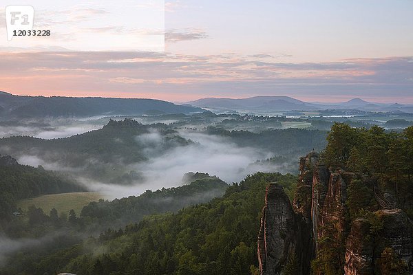 Morgennebel im Wehlgrund  Blick von Ferdinandstein  Bastei  Sächsische Schweiz  Sachsen  Deutschland  Europa