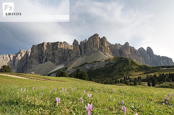 Sellagruppe mit Piscadu  Grödner Joch  Grödner Joch  Naturpark Puez-Geisler  Dolomiten  Wolkenstein  Südtirol  Trentino-Südtirol  Italien  Europa