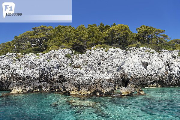 Tremiti-Insel San Domino  Nationalpark Gargano  Apulien  Adriatisches Meer  Italien  Europa