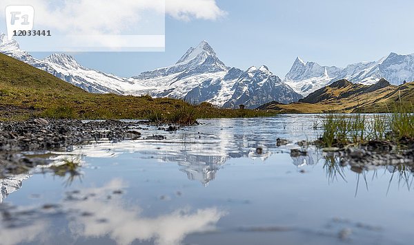 Spiegelung im Bachalpsee  schneebedeckte Eiger Nordwand  Eiger  Mönch  Jungfrau  Grosses Fiescherhorn  Grindelwald  Schweiz  Europa