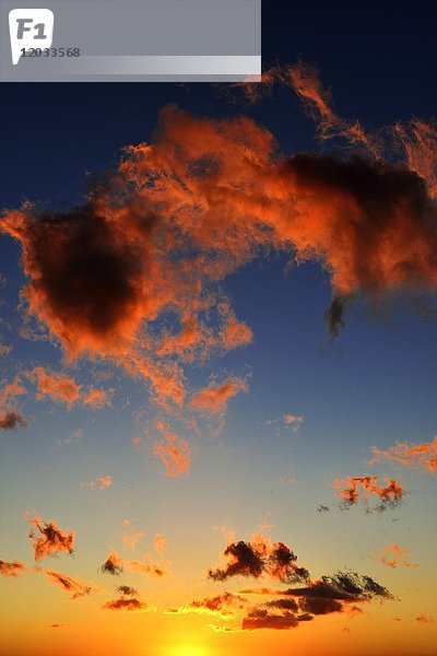 Rote Wolken am blauen Himmel  Sonnenuntergang  Westkap  Südafrika  Afrika