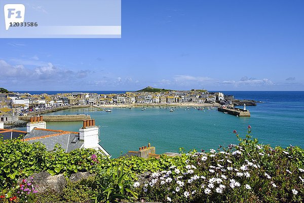 Blick auf den Hafen  St. Ives  Cornwall  England  Großbritannien