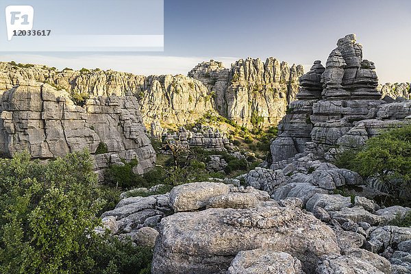 Bizarre Kalksteinfelsen  Naturpark El Torcal  Antequera  Provinz Malaga  Andalusien  Spanien  Europa