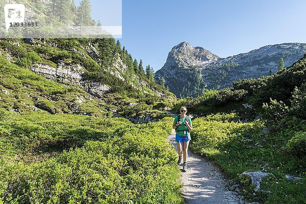Wanderer auf Wanderweg zum Kärlingerhaus  Funtenseetauern  Nationalpark Berchtesgaden  Berchtesgadener Land  Oberbayern  Bayern  Deutschland  Europa