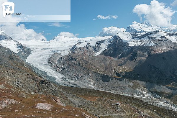 Gletscherzunge  Gletscherzunge  Blick vom Unterrothorn zum Findelgletscher  Zermatt  Wallis  Schweiz  Europa
