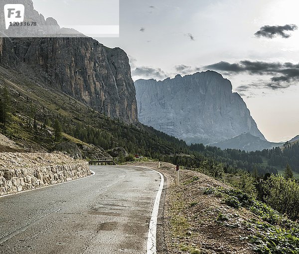 Straße am Grödnerjoch  Passo Gardena  2121m  linke Sellagruppe mit Murfreitspitze  Naturpark Puez-Geisler  Dolomiten  Wolkenstein  Südtirol  Trentino-Südtirol  Italien  Europa