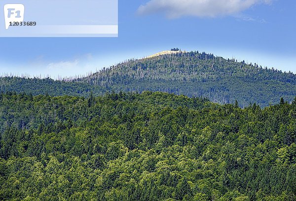 Lusen  Blick vom Baumwipfelpfad Bayerischer Wald bei Neuschönau  Nationalpark Bayerischer Wald  Niederbayern  Bayern  Deutschland  Europa