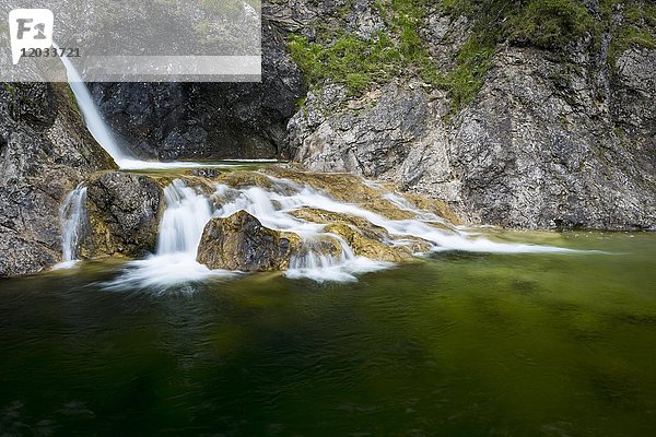 Bergbach mit kleinem Wasserfall  Stuibenfall  Reutte  Tirol  Österreich  Europa