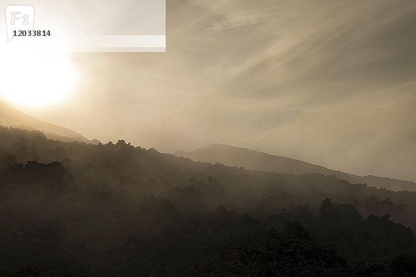 Nebel über Lavafeld  Vulkan Hekla  Südisland  Island  Europa