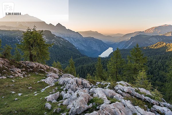 Panorama  Blick über den Königsee vom Feldkogel  links Watzmann Südspitze und Watzmann-Kinder  Sonnenuntergang  Nationalpark Berchtesgaden  Berchtesgadener Land  Oberbayern  Bayern  Deutschland  Europa