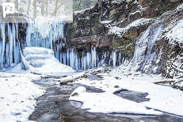 Eiszapfen am Wasserfall der Hörschbachschlucht  Winter  Naturpark Schwäbisch-Fränkischer Wald  Baden-Württemberg  Deutschland  Europa