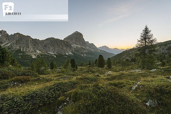 Sonnenaufgang vor den Gipfeln von Col dei Bos und Tofane  Falzaregopass  Dolomiten  Südtirol  Trentino-Südtirol  Italien  Europa