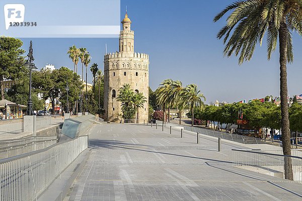Torre del Oro  Sevilla  Andalusien  Spanien  Europa