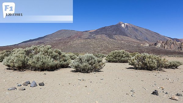 Vulkan Teide im Teide-Nationalpark  Teneriffa  Kanarische Inseln  Spanien  Europa