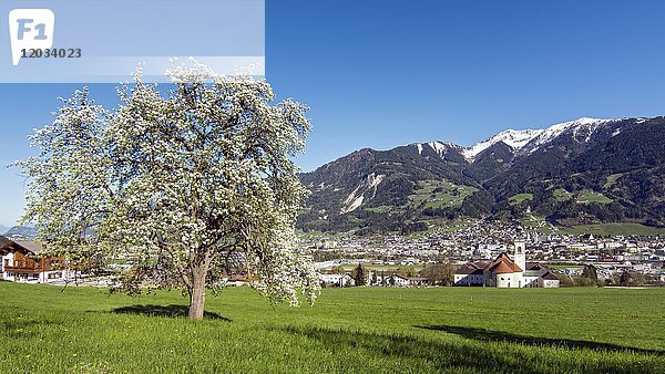 Blick auf die Stadt Schwaz von Fiecht aus gesehen  Tirol  Österreich  Europa