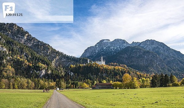 Schloss Neuschwanstein im Herbst  Schwangau  Ostallgäu  Allgäu  Schwaben  Oberbayern  Bayern  Deutschland  Europa