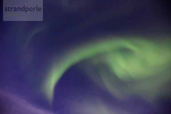 Nordlichter (Aurora borealis)  Reine  Lofoten  Norwegen  Europa