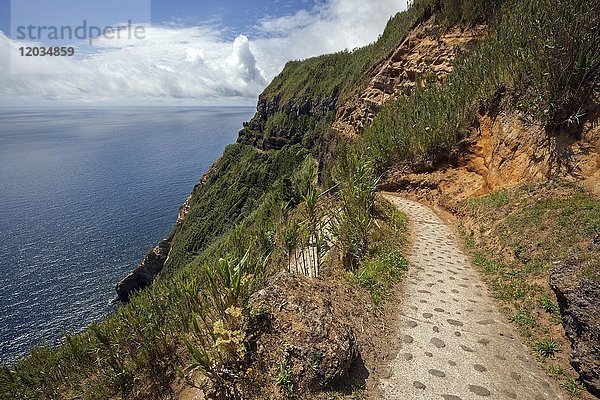 Wanderweg entlang der Klippen  Südwestküste  Insel Sao Miguel  Azoren  Portugal  Europa