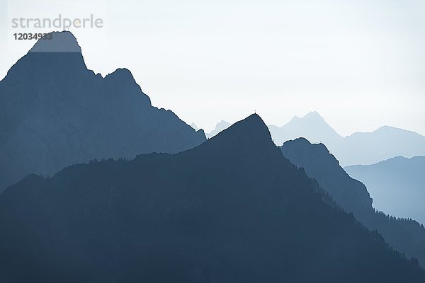 Morgenlicht mit Bergketten  Tannheimer Tal  Tirol  Österreich  Europa