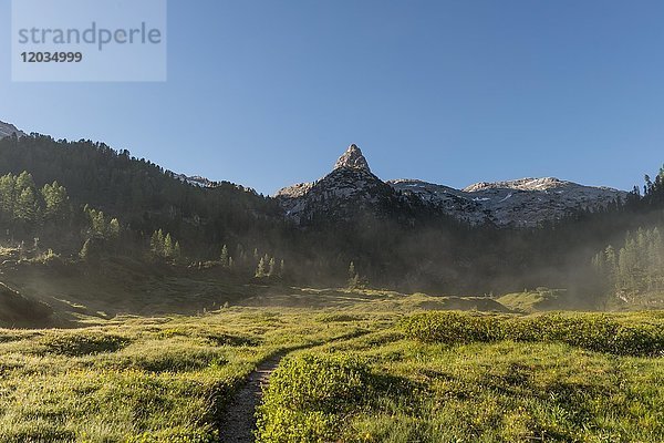 Morgenstimmung  Wanderweg zum Königssee und zur Wasseralm  nahe dem Kärlinger Haus  Viehkogel  Berchtesgadener Alpen  Nationalpark Berchtesgaden  Oberbayern  Bayern  Deutschland  Europa