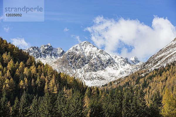 Panoramablick von der herbstlichen Krakauebene bei Etrachsee in Richtung Kircheleck und Predigtstuhl  Krakautal  Steiermark  Österreich  Europa