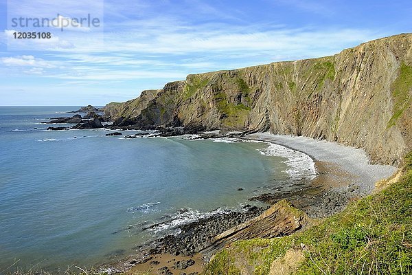 Felsenküste  Warren Beach in der Nähe von Hartland Quay  Hartland  Lundy Island  Devon  England  Großbritannien